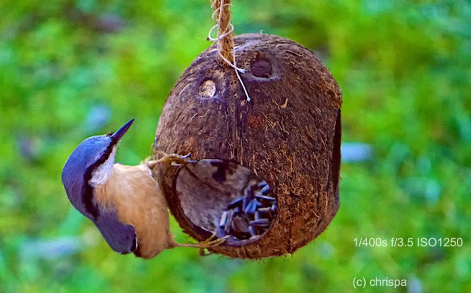 Der Kleiber mit Nikon AF-S Micro Nikkor DX 85mm 1:3.5G ED VR Objektiv