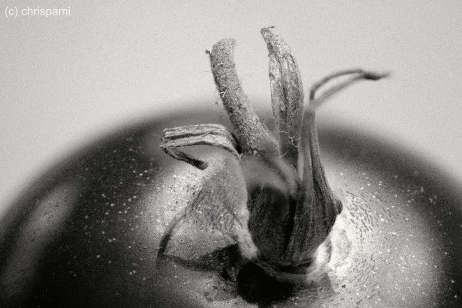 Warum nicht mal in Schwarz - Weiss ?