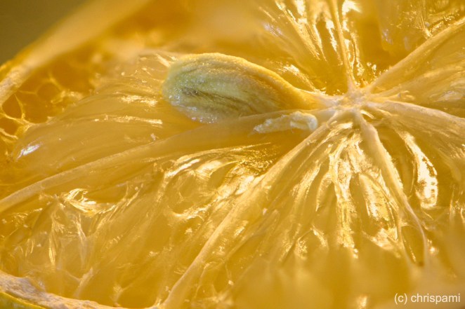 Makro - Zitrone, gar nicht sauer