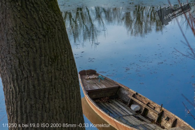 Peacefull River with Boat