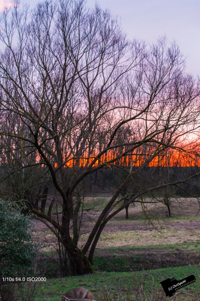 Der Sonnenuntergang heute...