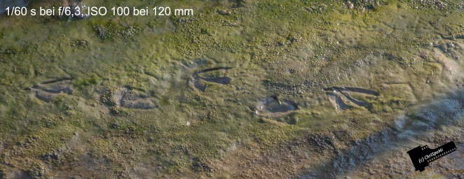 Ob ich wohl auf der richtigen Fährte bin ?