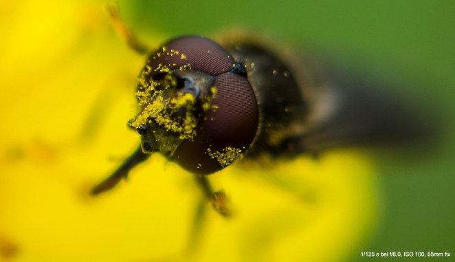 Auch am Wochenende ...