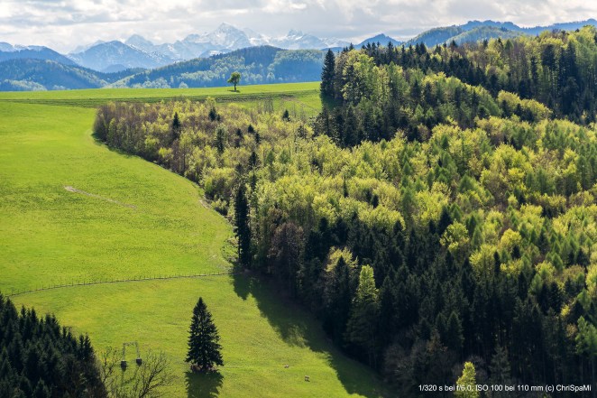 Tourism Supporter prolonged